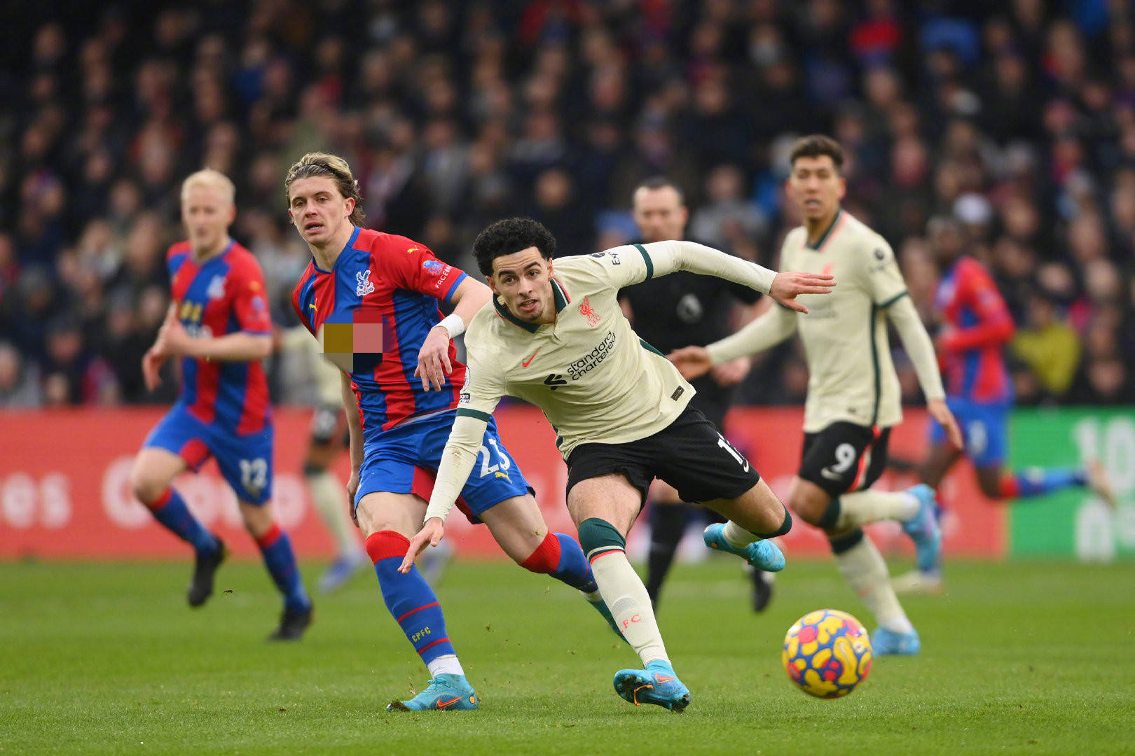 乐部的忠诚 乐部的忠诚